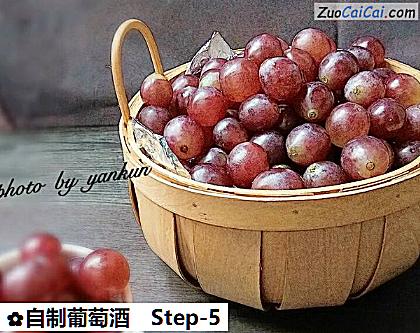 自制葡萄酒做法第五步骤