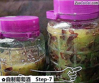 自制葡萄酒做法第七步骤