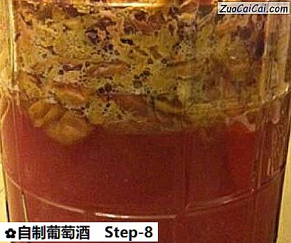 自制葡萄酒做法第八步骤