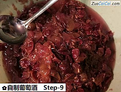 自制葡萄酒做法第九步骤