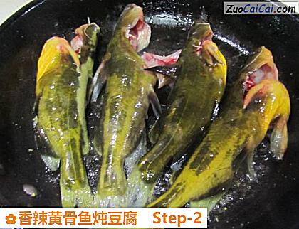 香辣黄骨鱼炖豆腐做法第二步骤