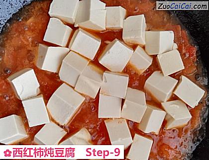 西红柿炖豆腐做法第九步骤