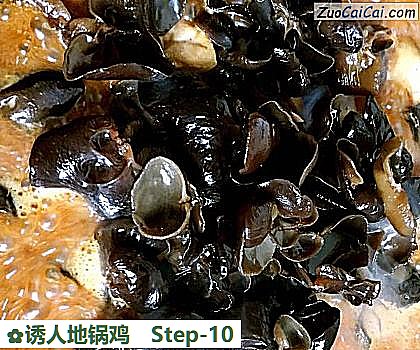 诱人地锅鸡做法第十步骤