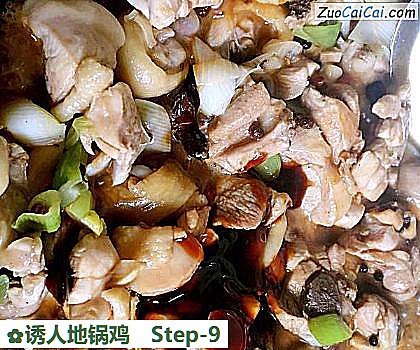 诱人地锅鸡做法第九步骤