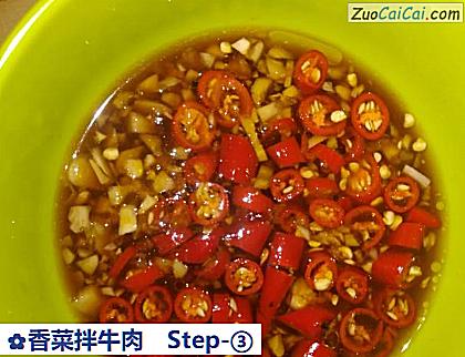 香菜拌牛肉做法第三步骤