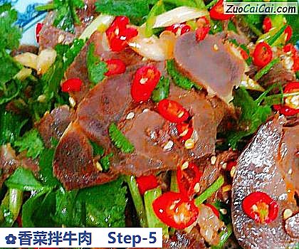 香菜拌牛肉做法第五步骤