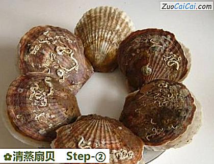 清蒸扇贝做法第二步骤