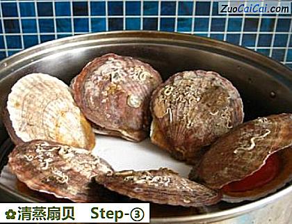 清蒸扇贝做法第三步骤