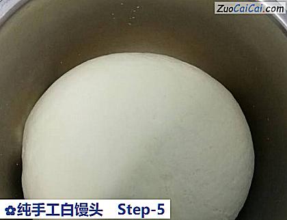 纯手工白馒头做法第五步骤