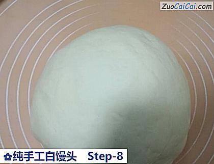 纯手工白馒头做法第八步骤
