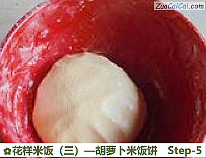 花样米饭做法第五步骤
