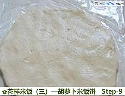 花样米饭做法第九步骤