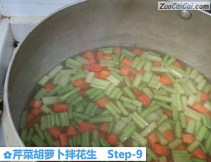 芹菜胡萝卜拌花生做法第九步骤