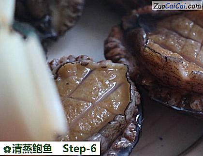 清蒸鲍鱼做法第六步骤