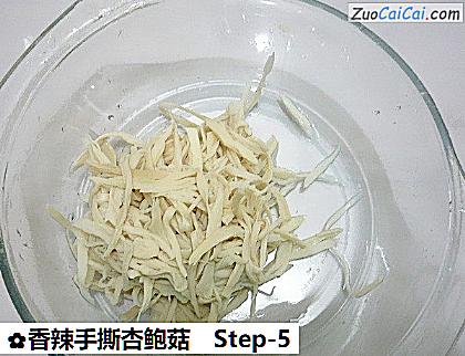 香辣手撕杏鲍菇做法第五步骤