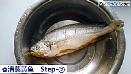 清蒸黄鱼做法第二步骤