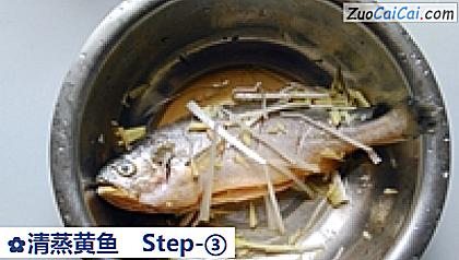 清蒸黄鱼做法第三步骤