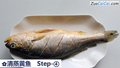 清蒸黄鱼做法第四步骤