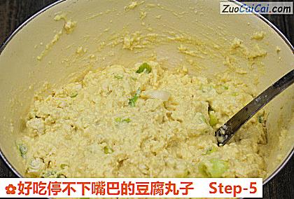 好吃停不下嘴巴的豆腐丸子做法第五步骤