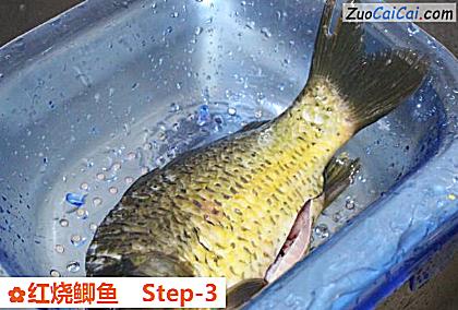 红烧鲫鱼做法第三步骤