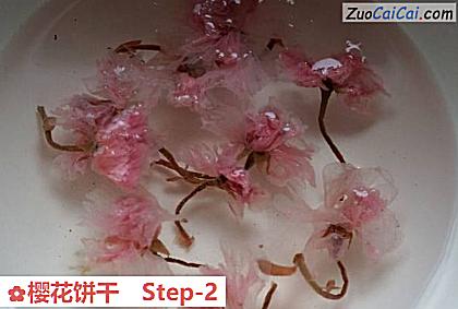 樱花饼干做法第二步骤