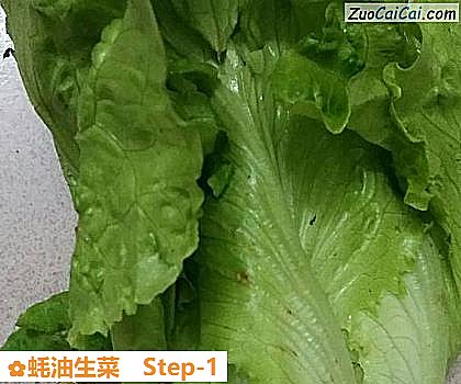 蚝油生菜做法第一步骤