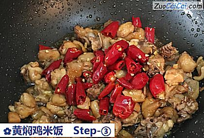 黄焖鸡米饭做法第三步骤