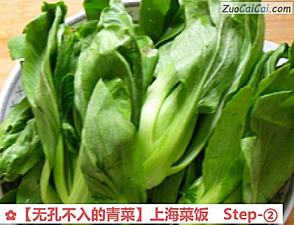 无孔不入的青菜做法第二步骤