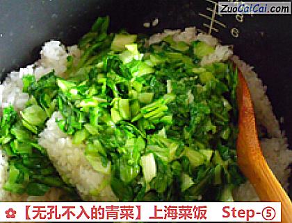 无孔不入的青菜做法第五步骤