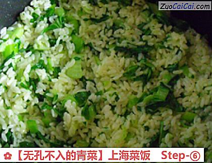 无孔不入的青菜做法第六步骤