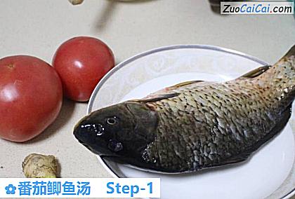 番茄鲫鱼汤做法第一步骤