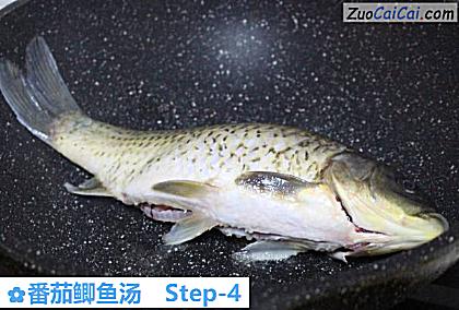 番茄鲫鱼汤做法第四步骤