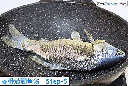番茄鲫鱼汤做法第五步骤