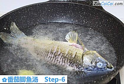 番茄鲫鱼汤做法第六步骤