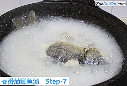番茄鲫鱼汤做法第七步骤