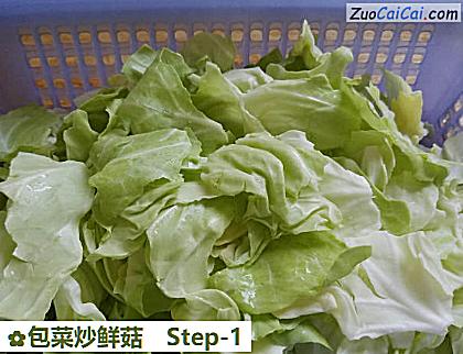 包菜炒鲜菇做法第一步骤