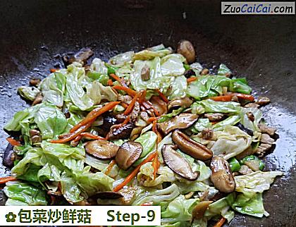包菜炒鲜菇做法第九步骤