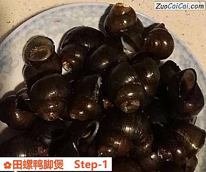 田螺鸭脚煲做法第一步骤