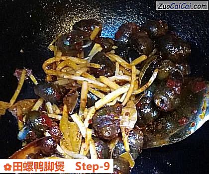 田螺鸭脚煲做法第九步骤