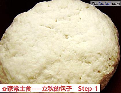 家常主食-立秋的包子做法第一步骤