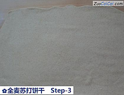 全麦苏打饼干做法第三步骤