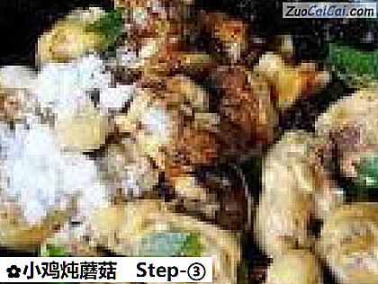 小鸡炖蘑菇做法第三步骤