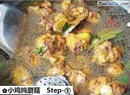 小鸡炖蘑菇做法第五步骤