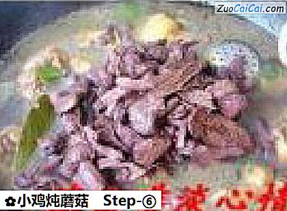 小鸡炖蘑菇做法第六步骤