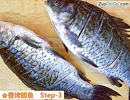 香烤鲫鱼做法第三步骤
