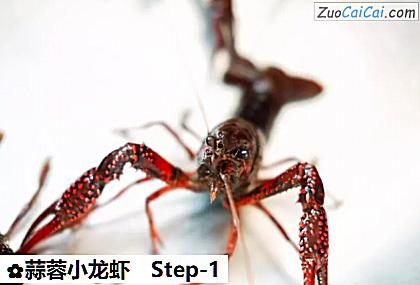 蒜蓉小龙虾做法第一步骤
