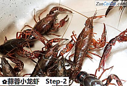 蒜蓉小龙虾做法第二步骤