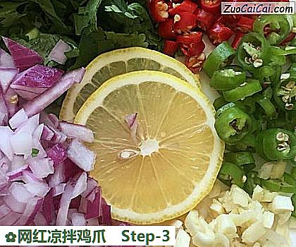 网红凉拌鸡爪做法第三步骤