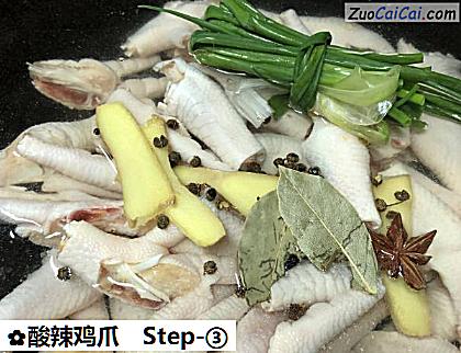 酸辣鸡爪做法第三步骤