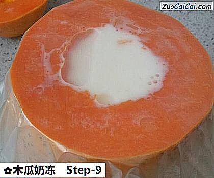 木瓜奶冻做法第九步骤
